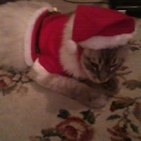 Bob Proctor Photo 20