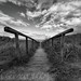 Sandy Gordon Photo 8