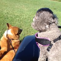 Deborah Higgins Photo 19