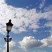 Mi Tra Photo 21