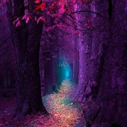 Heather Potter Photo 21