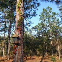 Samantha Barker Photo 50