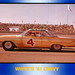Rex White Photo 18