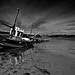 Johnny Mckee Photo 22