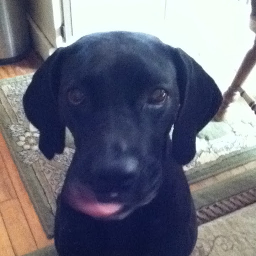 Daniel Manley Photo 10