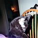 Ellen Iverson Photo 6