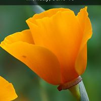 Sherry Warner Photo 24