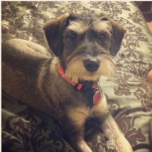 Pauline Quinones Photo 5