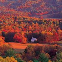 Stephanie Sheets Photo 17