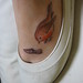 Robin Potter Photo 40