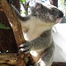 Dianne Hill Photo 33