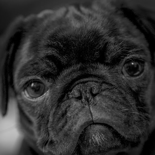 Julian Matthews Photo 12