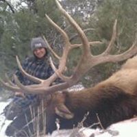 Tracy Reynolds Photo 15
