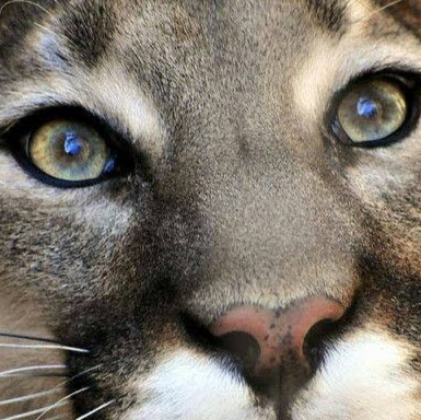 Raymond Harrison Photo 24