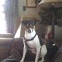 Nancy Easterling Photo 13