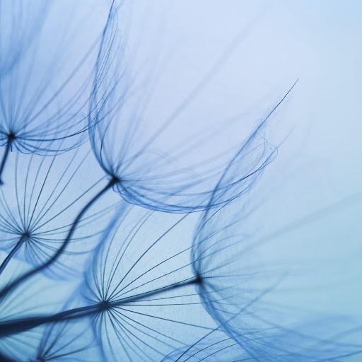 Sally Gilbert Photo 18