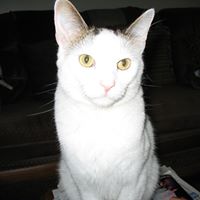 Julie Clifton Photo 26