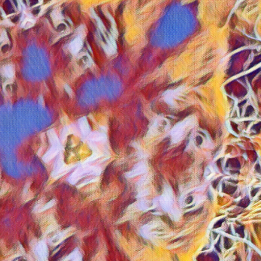 Shauna Jensen Photo 7