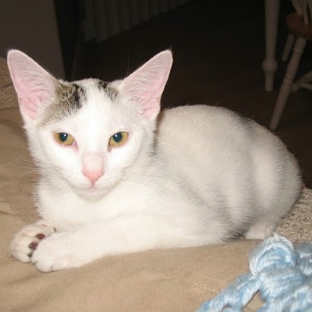 Katherine Mcleod Photo 23