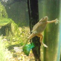 Tina Devine Photo 15