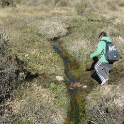 Patricia Schwarz Photo 39