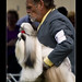 Don Rodgers Photo 9