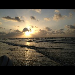 Michelle Fitch Photo 24