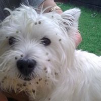 Philip Gunter Photo 4