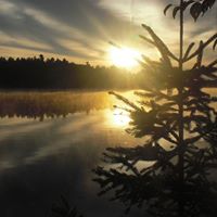 Paula Kirkpatrick Photo 18