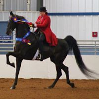 Tracy Erickson Photo 10