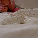 Rebecca Combs Photo 12