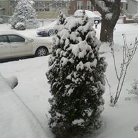 Hsiao Chen Photo 15