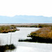 Connie Marsh Photo 12