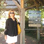 Cynthia Carey Photo 1 Cynthia Carey Photo 1