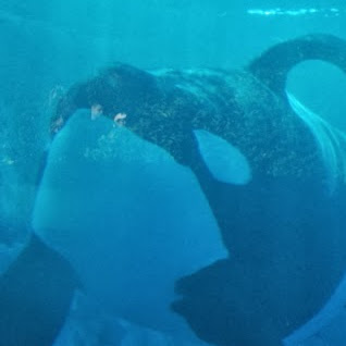 Nancy Ritter Photo 9