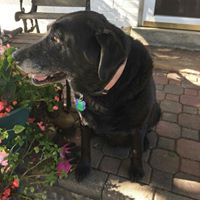 Carol Roach Photo 21