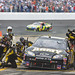 Regan Martin Photo 35
