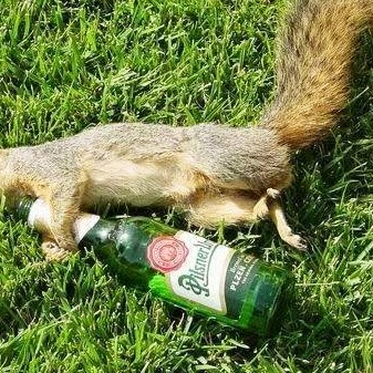 Richard Swenson Photo 25