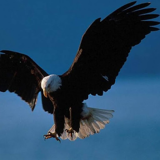 Elizabeth Fife Photo 10