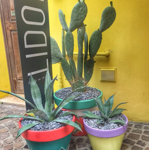 Jillian Nichols Photo 19