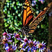 Kathy Hardy Photo 15