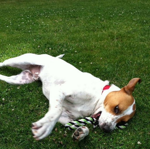 Susan Barlow Photo 17