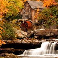 Theresa Tankersley Photo 7