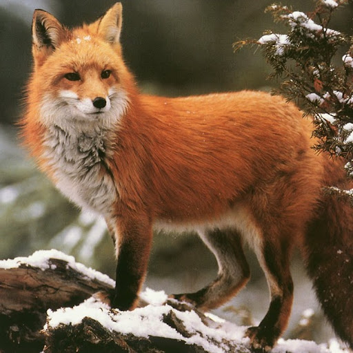 Jenny Garvin Photo 4