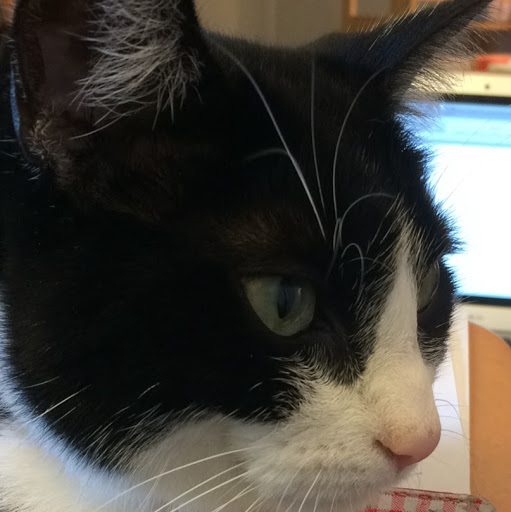 Nicole Lewis Photo 17