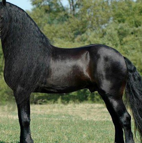 Kenneth Clements Photo 31