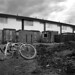 Robin Groves Photo 32