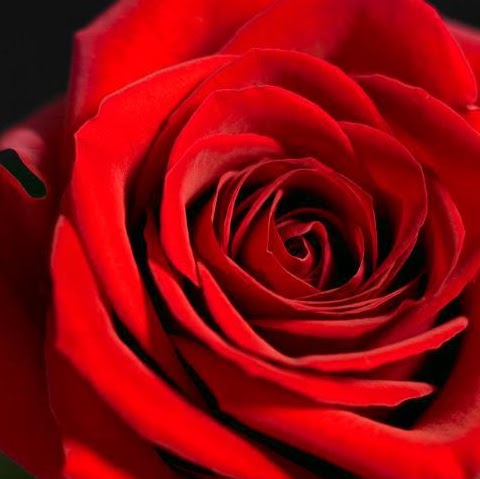 Gail Bailey Photo 26