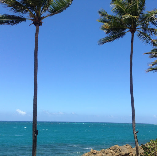 Vanessa Chavez Photo 43