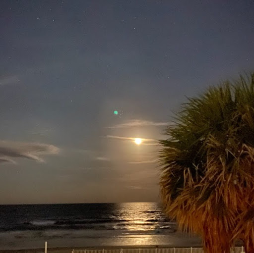 Terri Potter Photo 32